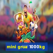 mini grua 1000kg